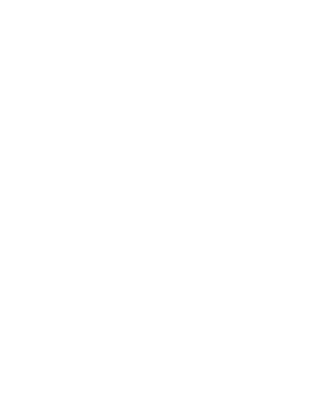 Pro Player Promotions white logo